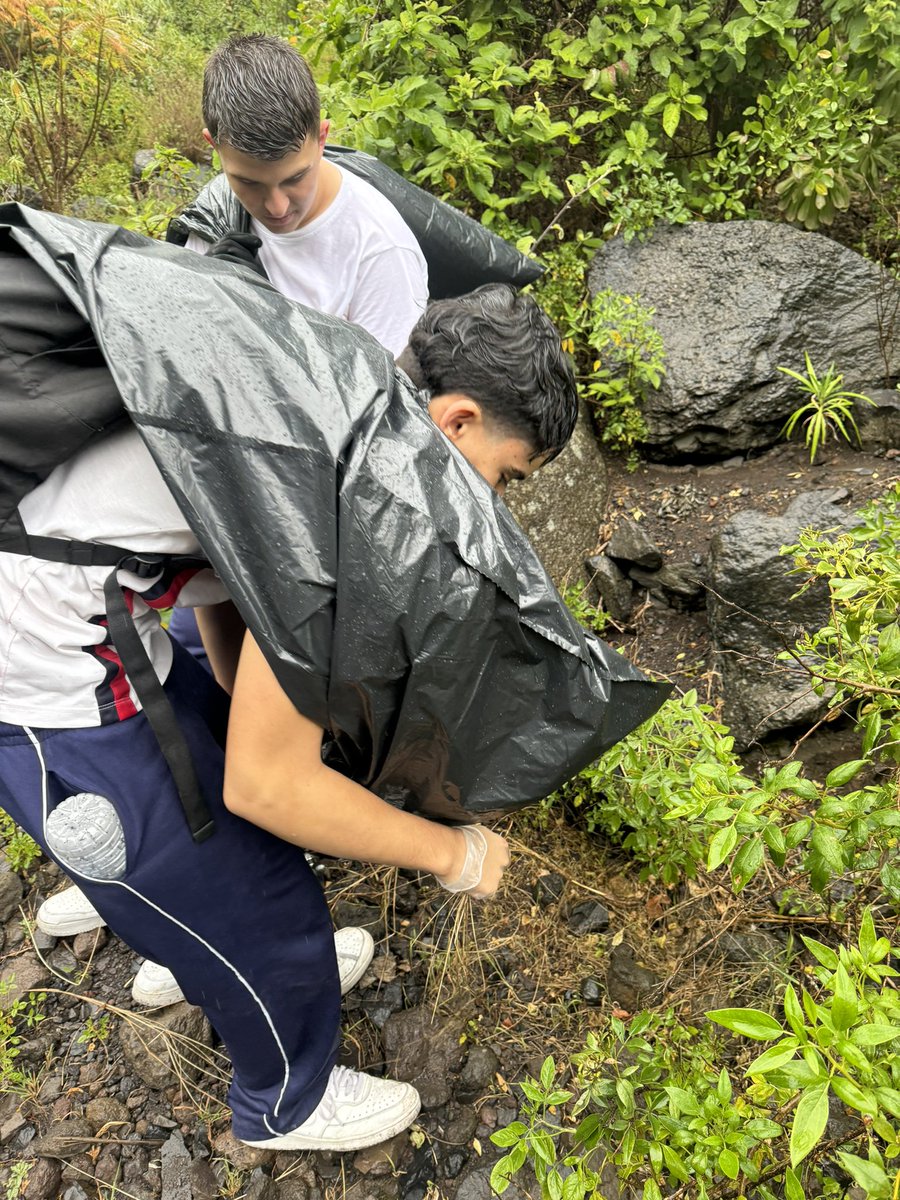 Csdomingo's tweet photo. El lunes comenzamos con la limpieza del Barranco de Badajoz. Gracias a las herramientas del @AytoGuimar , pudimos limpiar una parte del barranco y eliminar rabo de gato, especie invasora. #alumnoschangemakers  #proyectoaprendizajeyservicio https://t.co/kFliQBvTzR