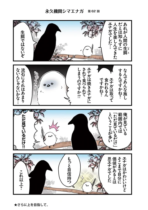 ✨🌸永久機関シマエナガ🌸✨
✨コミックス最新刊発売記念✨
✨⌚8:00/18:00⌚✨
✨シーズン1 毎日再配信中✨

#永久機関シマエナガ
#シマエナガとカラスさん

【シーズン1/第62羽】 