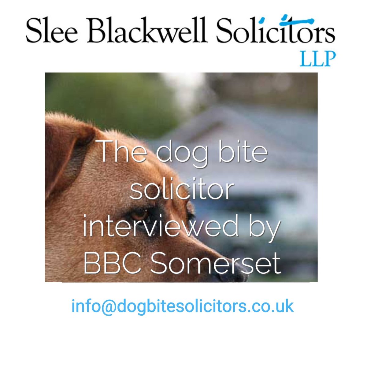 @dogbitesolicitr interviewed on BBC Radio Somerset abt the legal position if a dog bites someone when you are out and about. If you have been injured by a dog contact 0808 139 1606 or email us at info@dogbitesolicitors.co.uk dogbitesolicitors.co.uk/news/dog-bite-… #dogbite #injury
