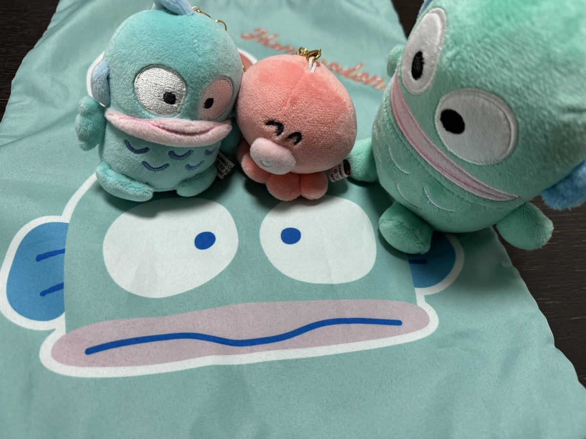 morishimc's tweet photo. ハンギョドン誕生日おめでとう！俺より歳上だとするなら、おめでとう御座います！ https://t.co/IwE5vHvisC