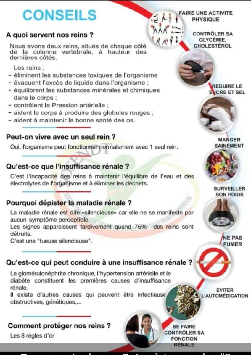 sosendt's tweet photo. #WorldKidneyDay2024 #WorldKidneyDay
Journée Mondiale du Rein
🧶
Parlons du rein
Sensibilisons sur la maladie rénale

@AfricanAFRAN @worldkidneyday @WomenNephAfrica @santegouv_sn @DivanCitoyen https://t.co/JZEyZsOcuN