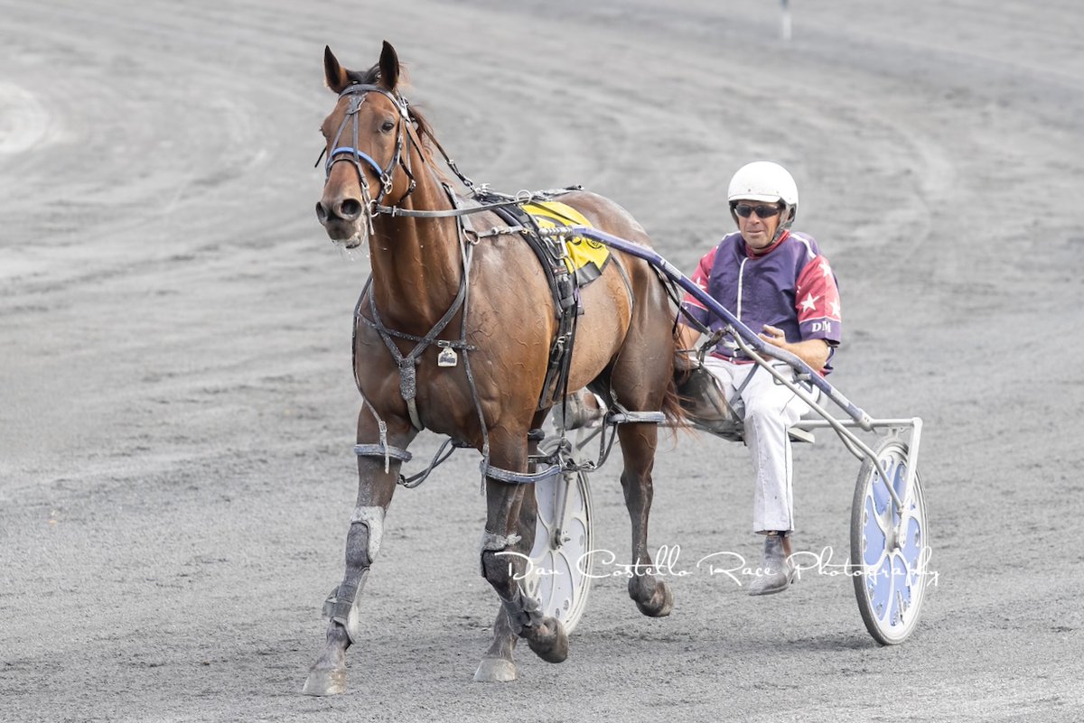 Dan Costello tweet media