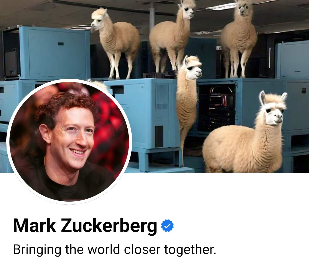 <a href="/coinexcom/">CoinEx Global</a> $SOLAMA