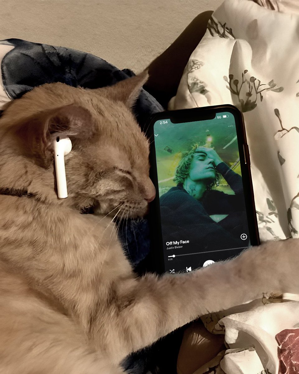 UMusicIndia's tweet photo. Shhh... they're listening to meow-sic π€«π₯Ή
#Beliebers #XO #Eilishers #ThursdayMood https://t.co/IekAgjZjT4