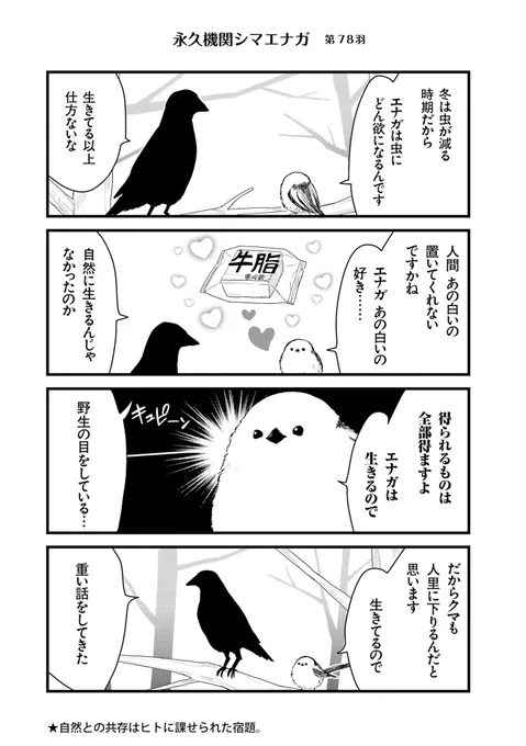 ✨🌸永久機関シマエナガ🌸✨
✨コミックス最新刊発売記念✨
✨⌚8:00/18:00⌚✨
✨シーズン1 毎日再配信中✨

#永久機関シマエナガ
#シマエナガとカラスさん

【シーズン1/第78羽】 