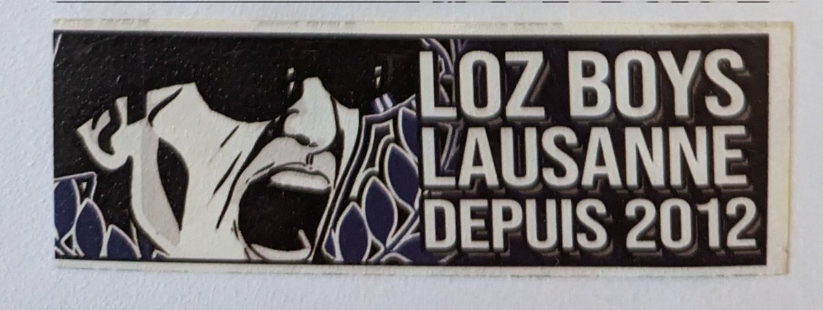 1jour1stick's tweet photo. 🇨🇭 on fait le tour du lac Léman 😎 pour voir les soutiens du Lausanne Sport. Le groupe moteur est les Loz Boys (#LB12) a ne pas confondre avec leur jumelage français les... #LB12 de Dijon !!! https://t.co/Jrd7uz30JJ
