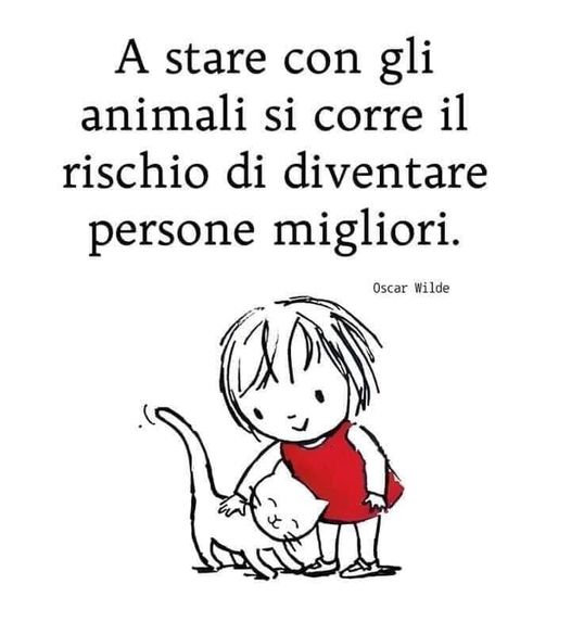 Stregatto9's tweet photo. https://t.co/rZAtUDoP3w