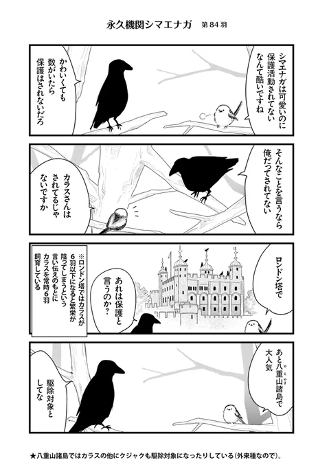 ✨🌸永久機関シマエナガ🌸✨
✨コミックス最新刊発売記念✨
✨⌚8:00/18:00⌚✨
✨シーズン1 毎日再配信中✨

#永久機関シマエナガ
#シマエナガとカラスさん

【シーズン1/第84羽】 