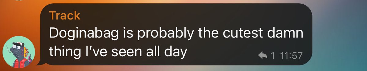 Doginabag tweet media