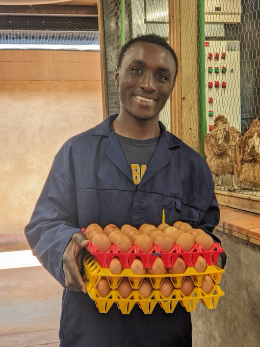 CHOKO ORGANIC FARMING (@SabhukuChoko) / Posts / X