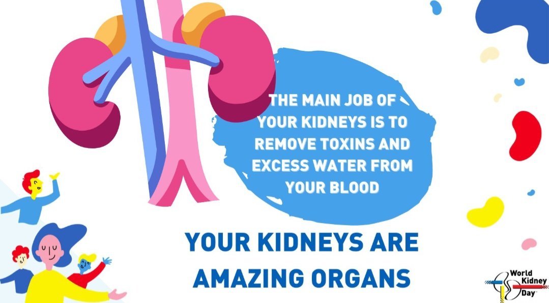 #WorldKidneyDay2024