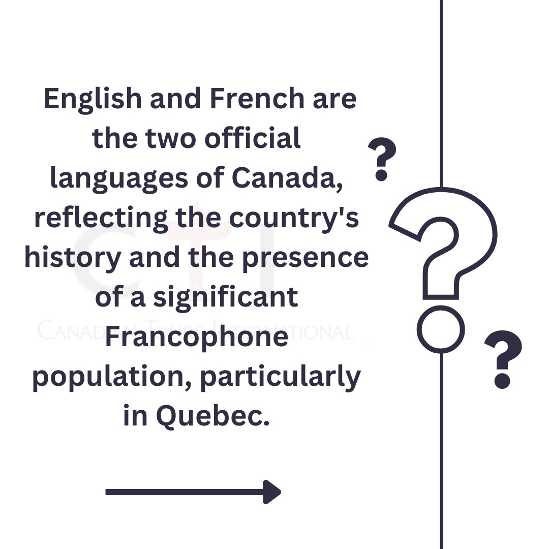 destinations Unlimited tweet media