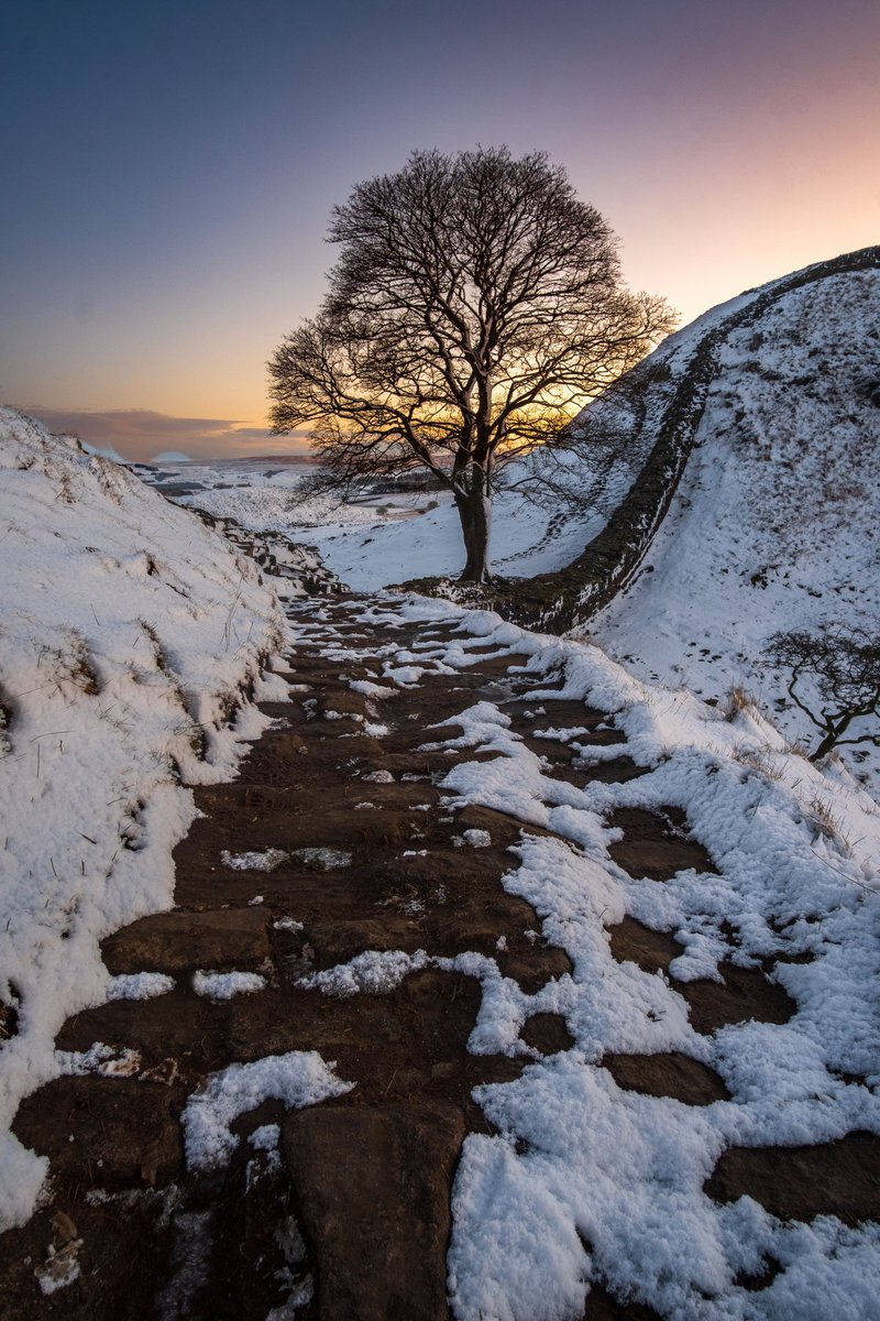 Exactly one year ago today it was snowing in Northumberland so I dashed over to Sycamore Gap as I wanted to see it in the snow. This along with other images i took that day and night are likely the last images of this amazing place under snow. #sycamoregap