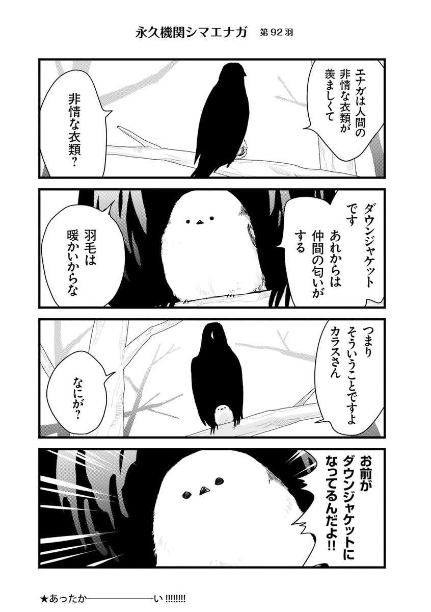 ✨🌸永久機関シマエナガ🌸✨
✨コミックス最新刊発売記念✨
✨⌚8:00/18:00⌚✨
✨シーズン1 毎日再配信中✨

#永久機関シマエナガ
#シマエナガとカラスさん

【シーズン1/第92羽】 