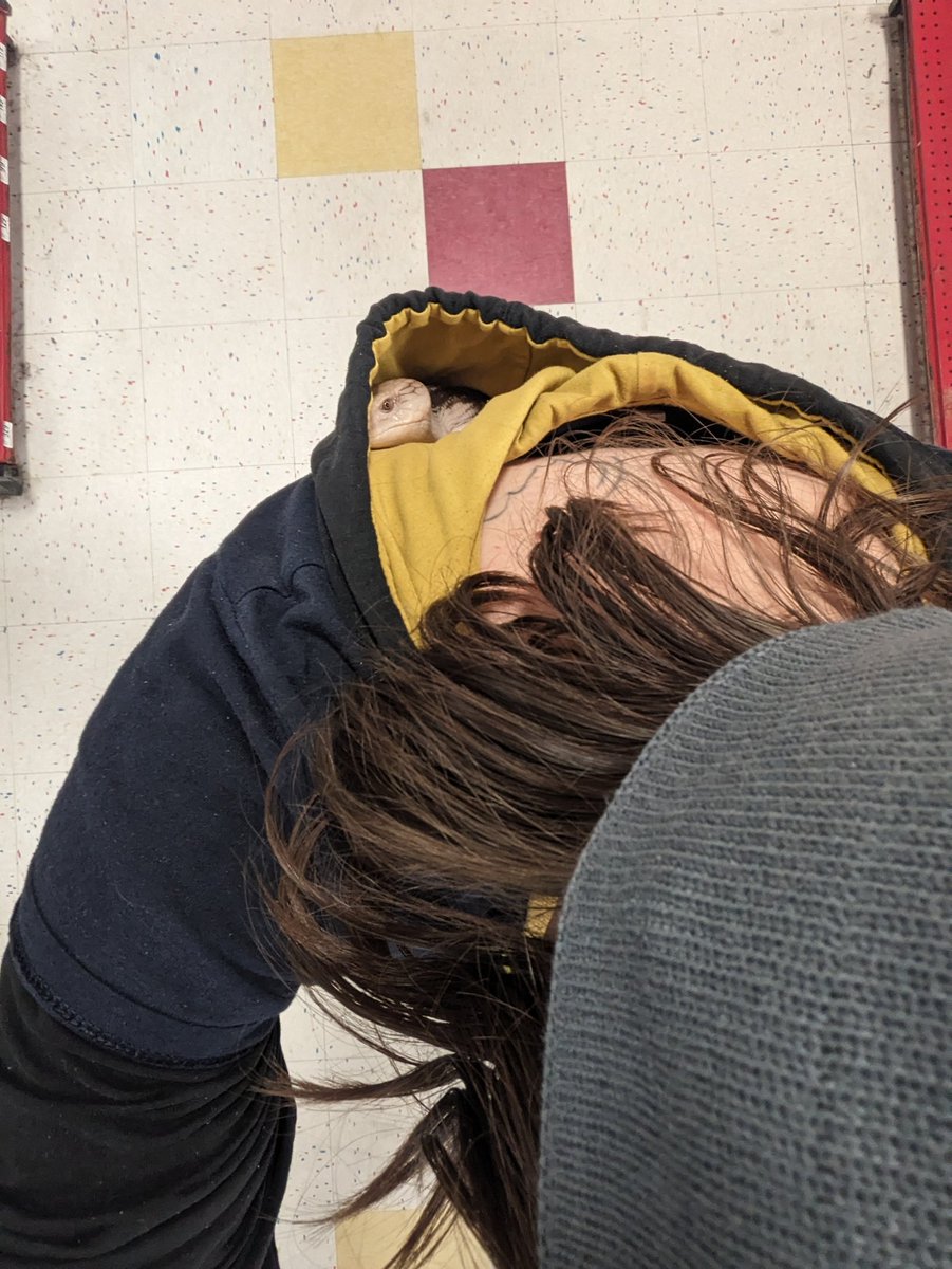 Friend acquired. Time to make an escape