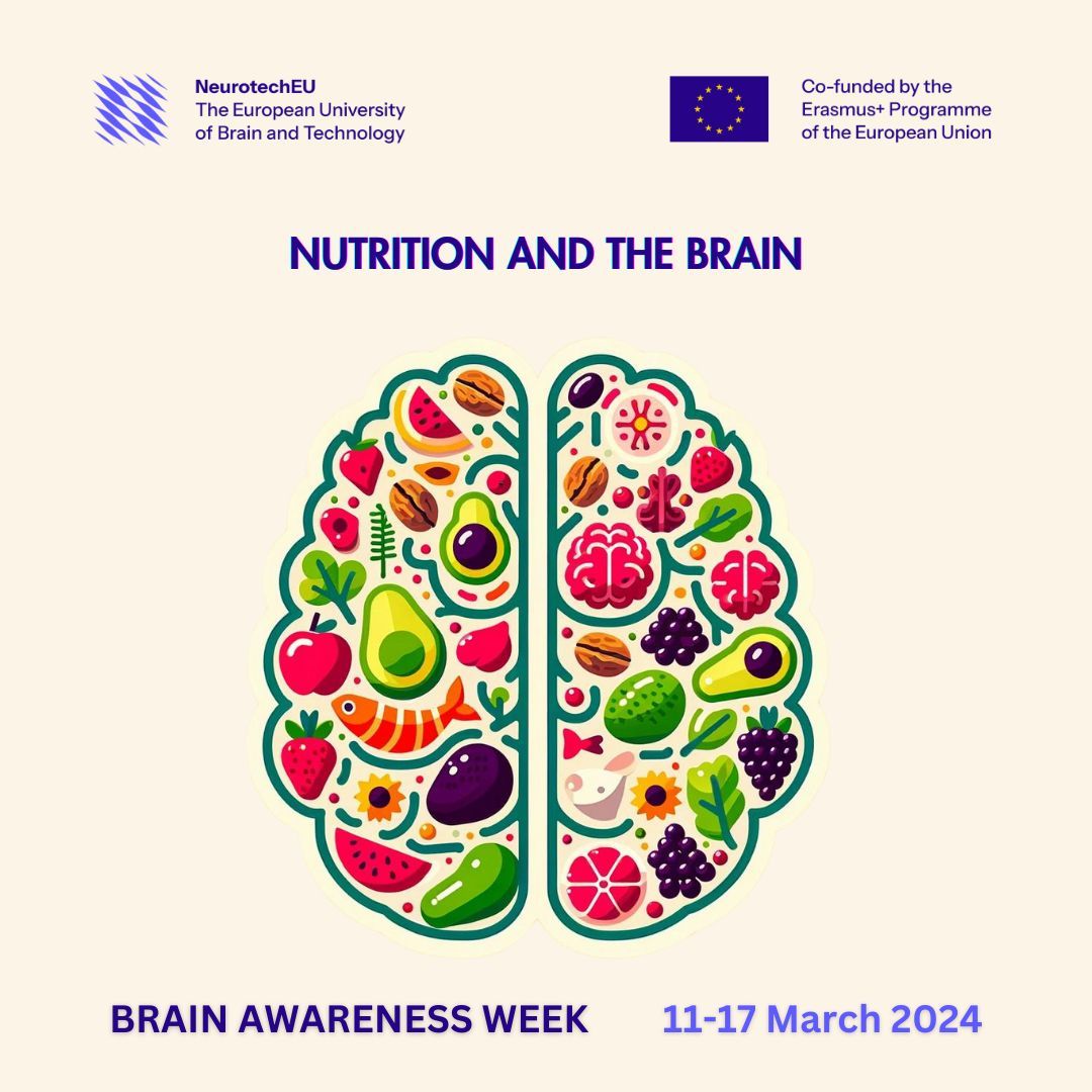 Feed your brain! 🍇 🧠 Omega-3 fatty acids, antioxidants, and vitamins found in foods like walnuts, berries, and spinach are linked to lower risk of cognitive decline and improved memory and focus. What other brain-boosting foods do you eat? #NeurotechEU #BrainAwarenessWeek