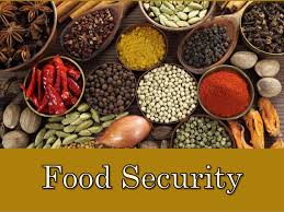 Did you know that food security involves both the availability of food and the ability to access it?

Join the conversation tomorrow the Inter-varsity Policy Debates on Food Security and Nutrition.

📍 BSSC

<a href="/kenaff_farmers/">Kenya National Farmers' Federation (KENAFF)</a>
  
<a href="/msf_eastafrica/">MSF East Africa</a>
 
<a href="/policyguild/">Policy Action Initiative</a>

#LetsTalkFoodSecurity