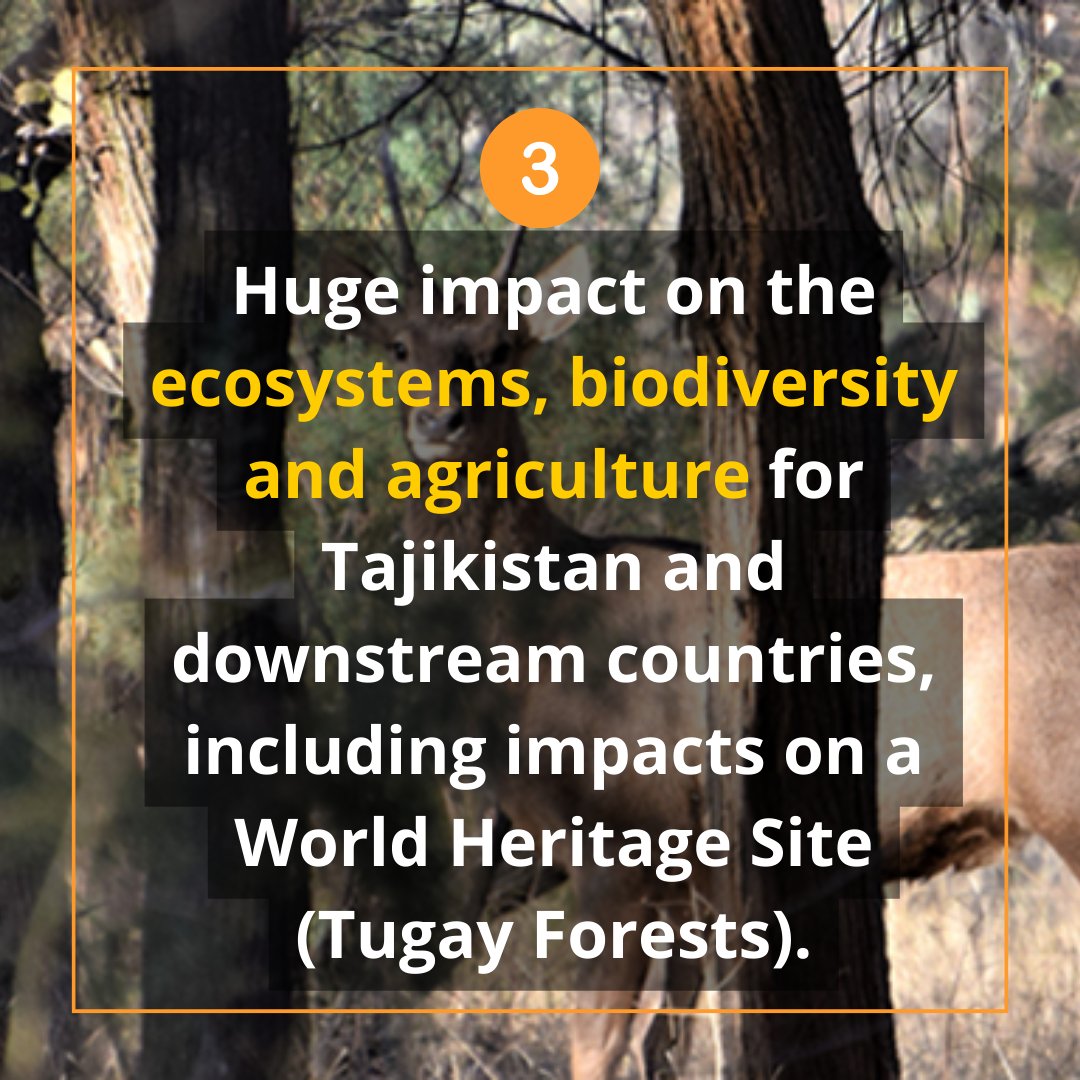 uwecworkgroup.info/%d0%b0-la-guer…