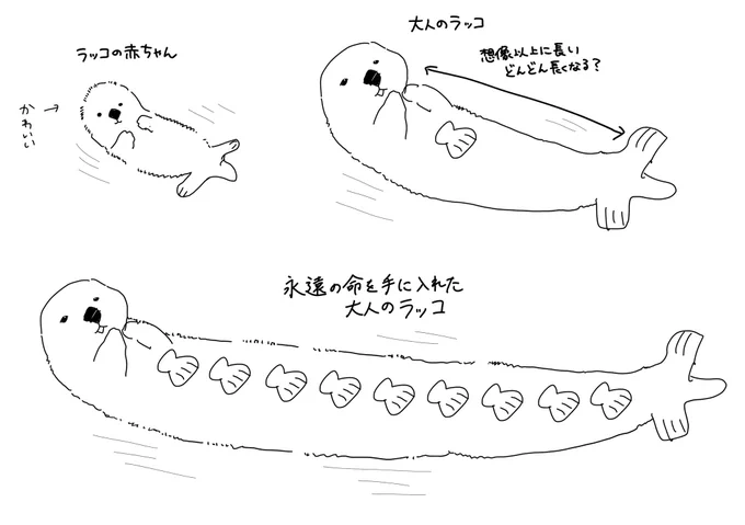 ラッコ可愛い🦦 