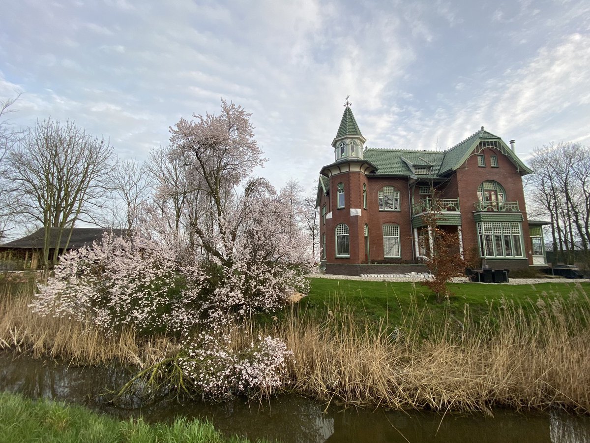 grand_nb's tweet photo. Lente in het #Oldambt #Graanrepubliek https://t.co/rd68DsC8lX