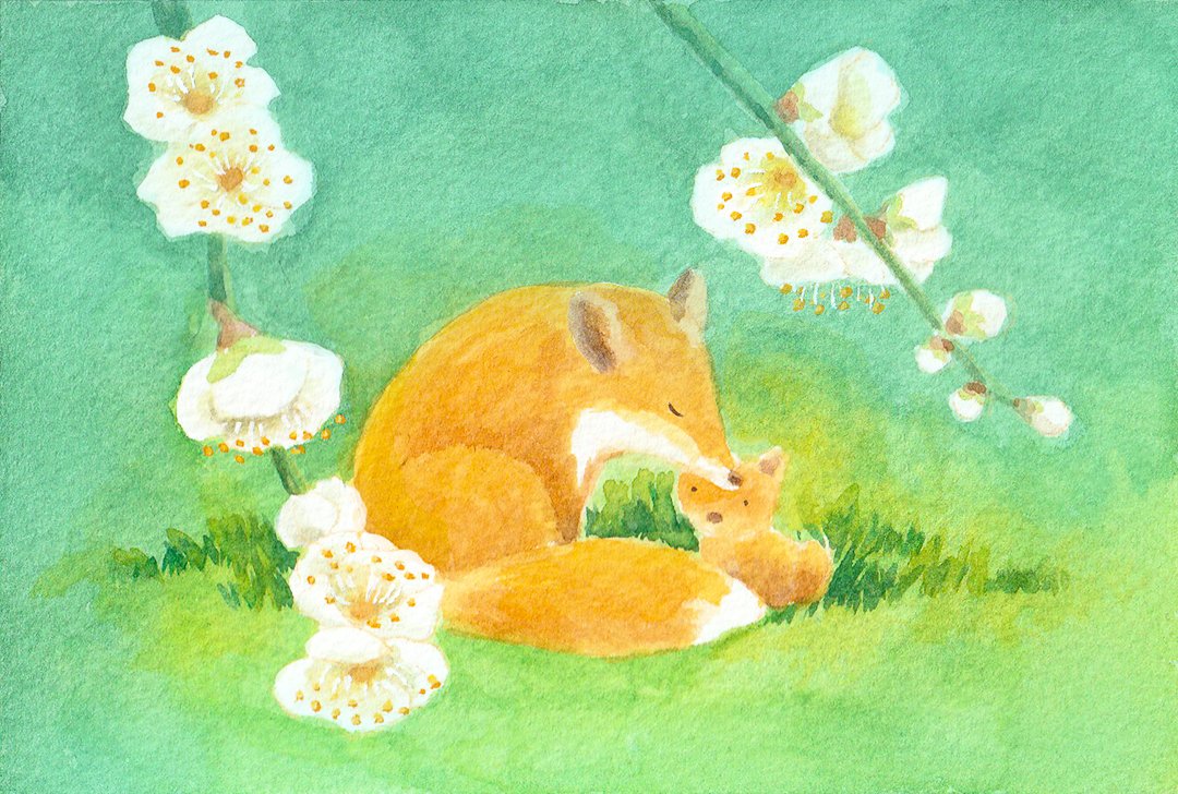 春が来るよ
#水彩イラスト　＃キツネ　＃白梅