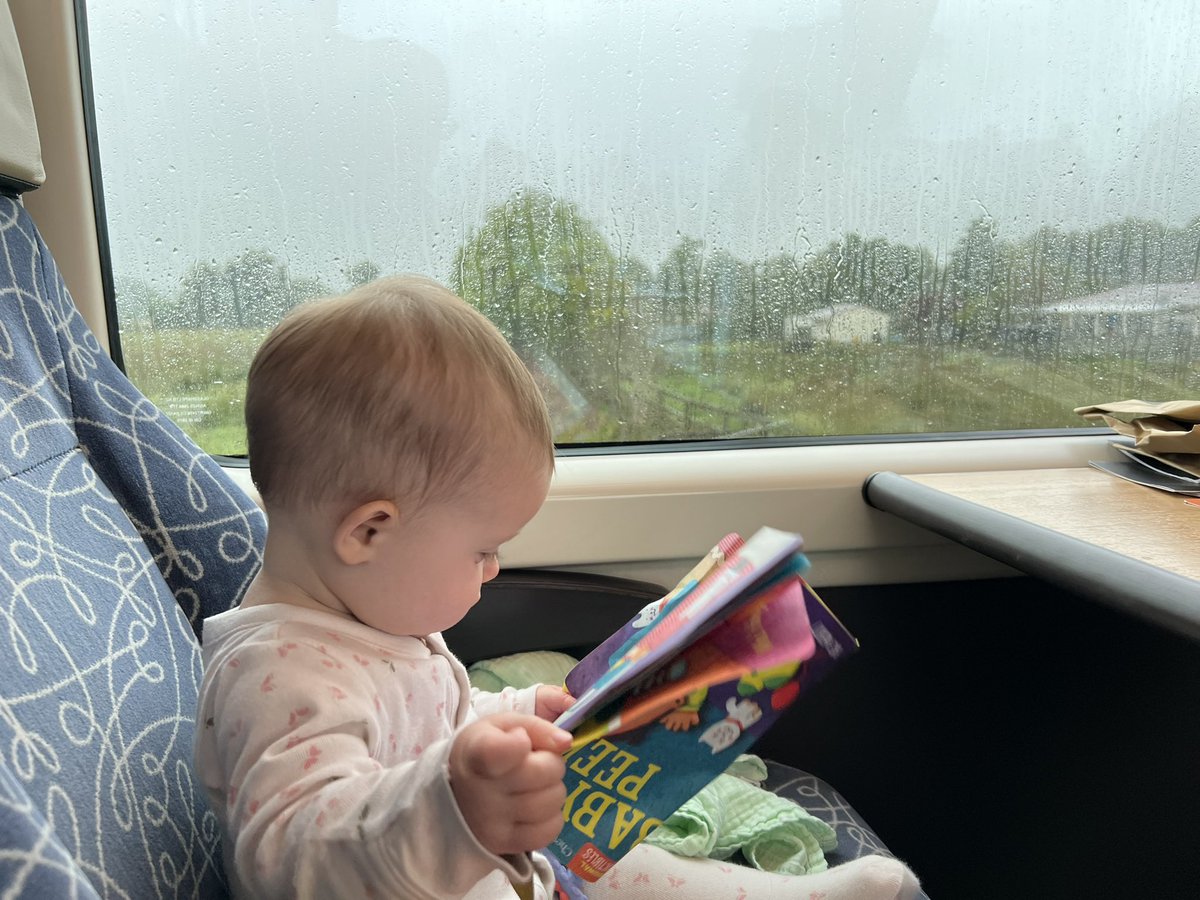 Took the 12 hour train from Auckland in the north to the capital of Wellington in the south today! What a beautiful way to see the country. 

Baby was too busy reading upside down to notice 🙃