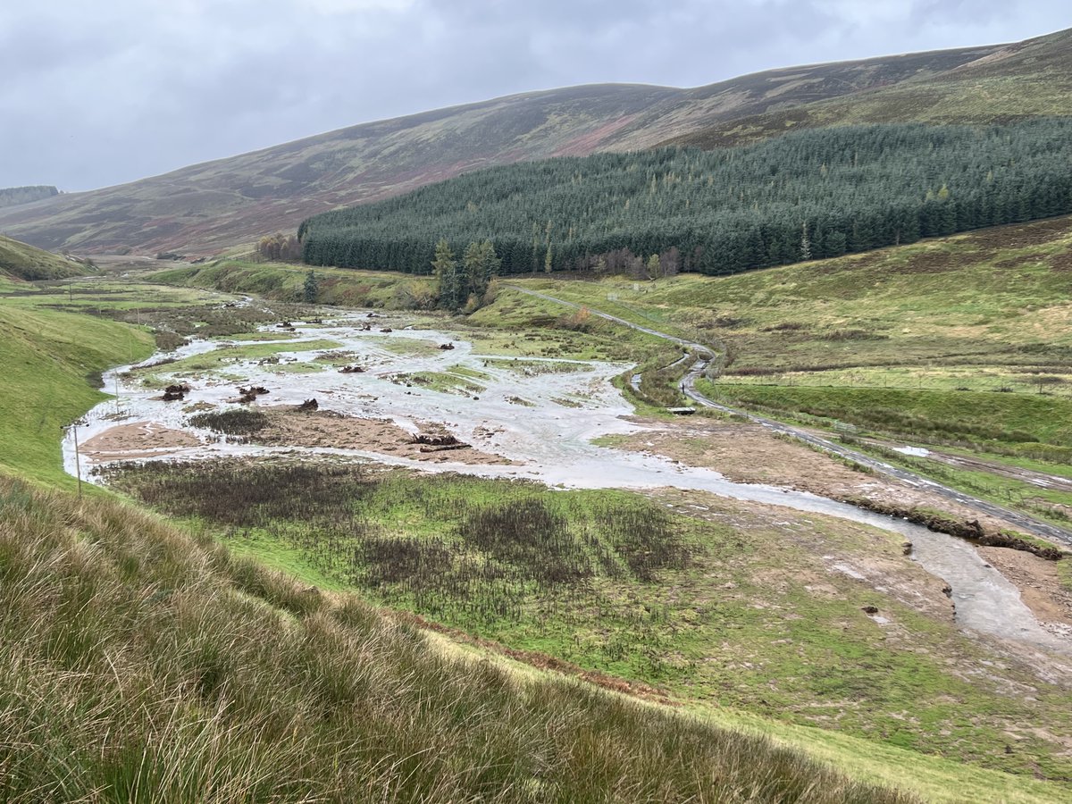 #Beforeandafter of a '#stage0' project we were invloved with at Quharity Burn, Angus. The designs involved the reinstatement of channel-floodplain processes by re-routing the river through historic flow paths, as well as strategically-placed large wood throughout the site 😃