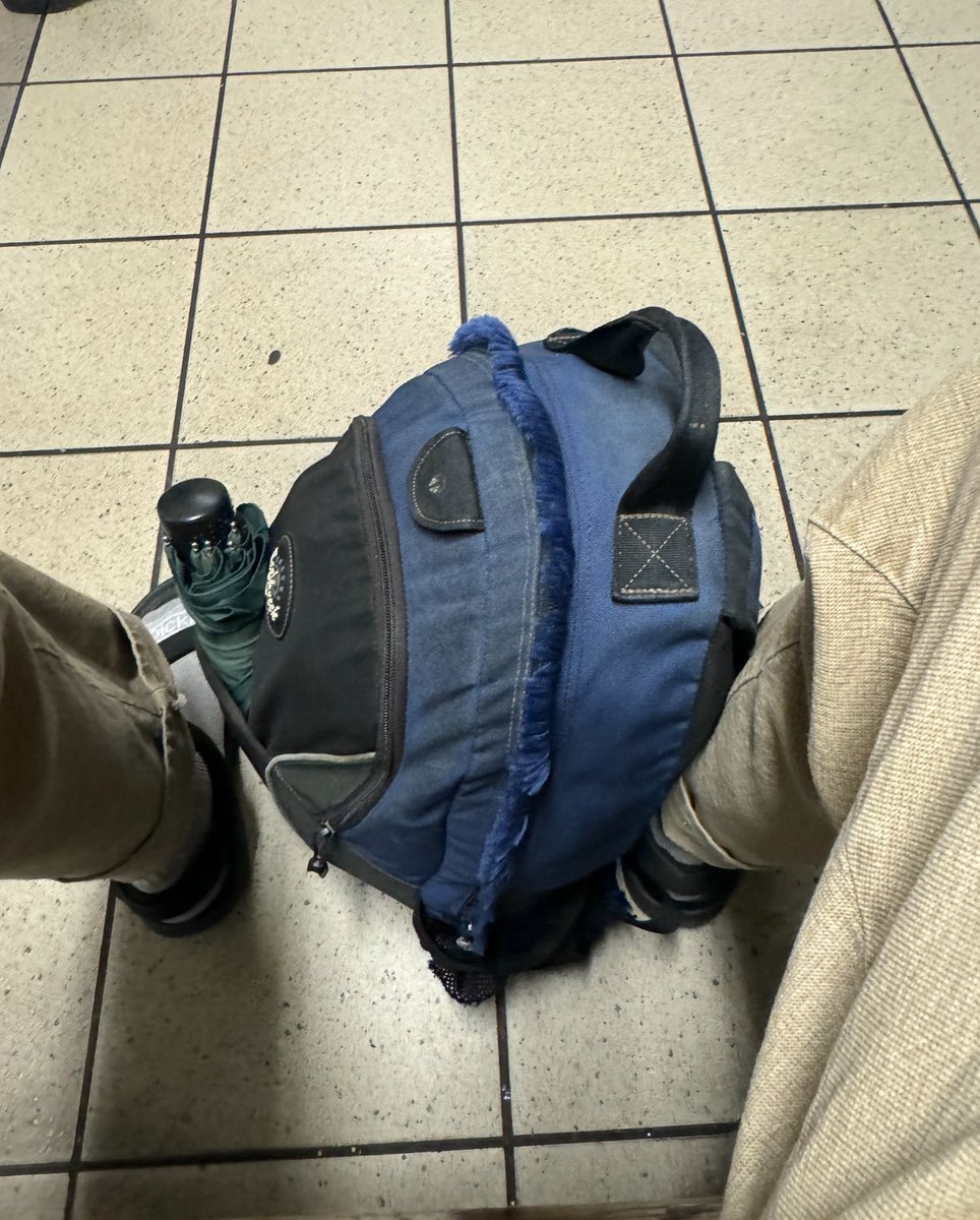 Chris Arnade 🐢🐱🚌 tweet media