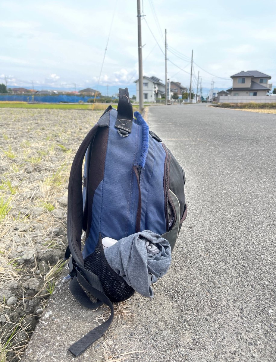 Chris Arnade 🐢🐱🚌 tweet media