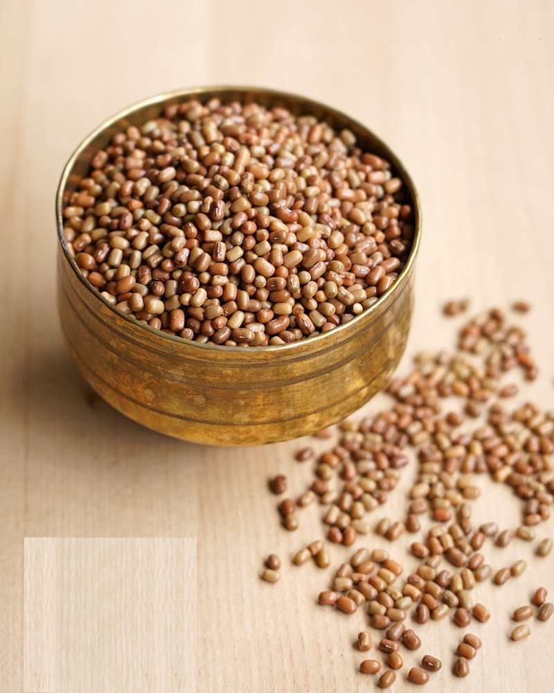 FoodNutrition_1's tweet photo. If you were wondering what moth beans look like, here is a picture. Yes, they don't look anything like moths or beans. https://t.co/DJWkoCaFHh