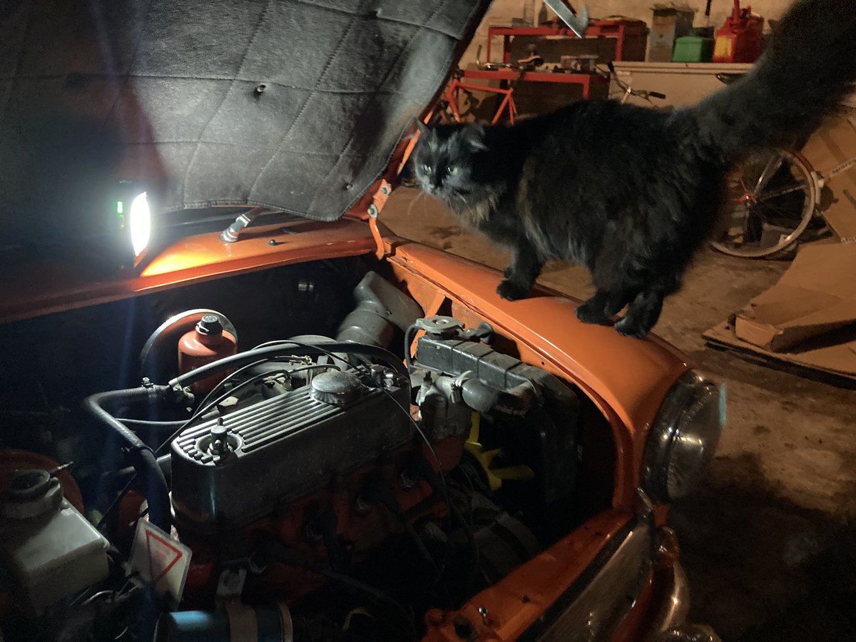 urbancyclist's tweet photo. Jasper was in a ‘helpful’ mood last night….

#cat #blackcat #floof #rescuecat #sspca #mini #classicmini #rovermini #minimeon #weeorangebeastie #smallholding #smallholdinglife https://t.co/SVJc4OgcSa