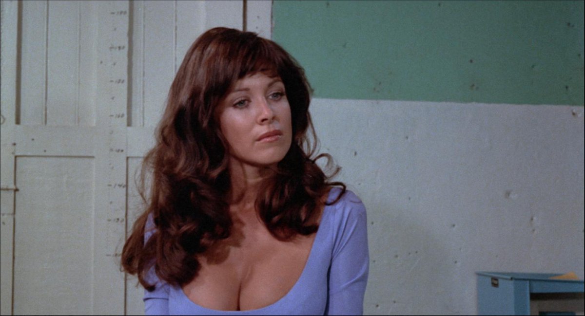 Sweet Sugar (1972) by #MichelLevesque
w/#PhyllisDavis #Ellaraino #PamelaCollins

A fun loving traveler is entrapped by a corrupt cop and sent to a female prison camp deep in the tropical jungles of South America.

“Her Machete isn't her only weapon!”

#WomenInPrison #Exploitation