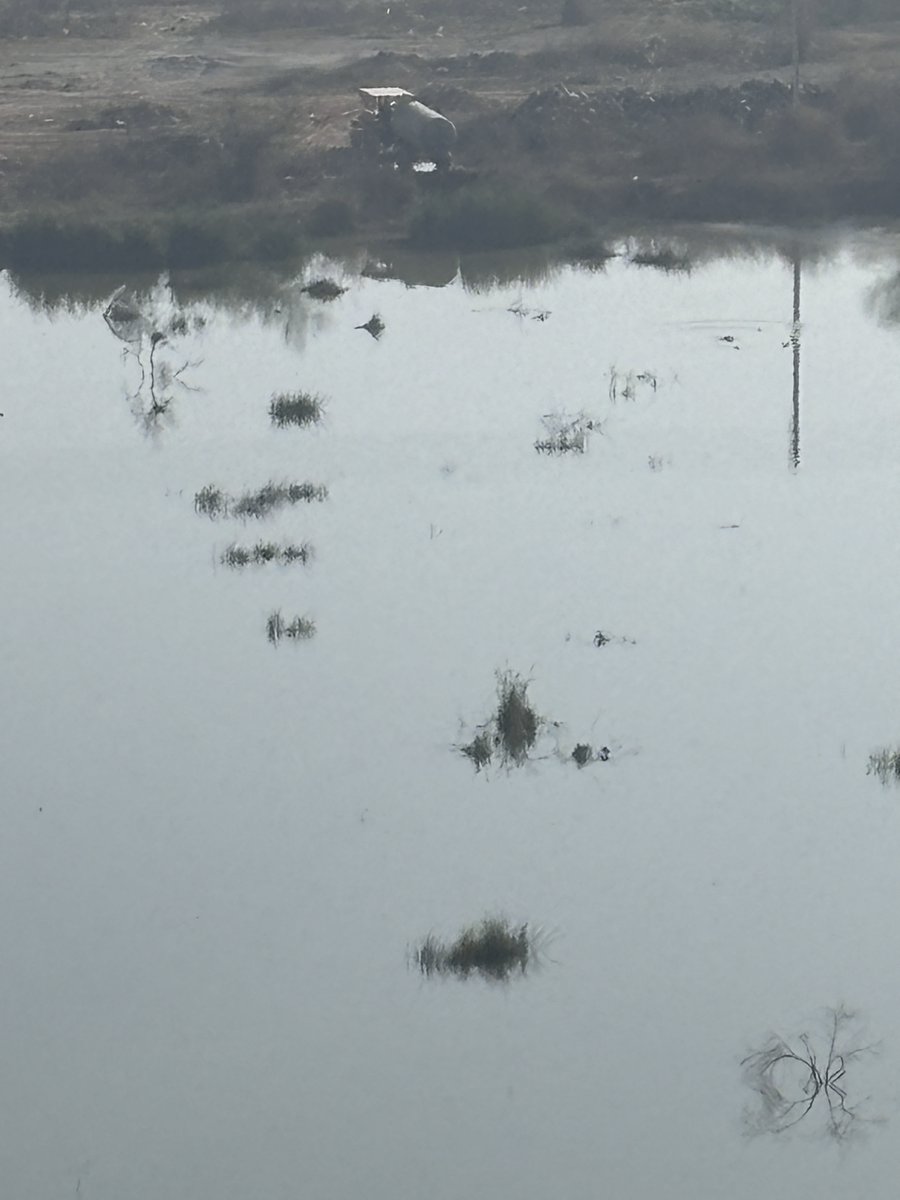 <a href="/cmohry/">CMO Haryana</a> माननिया मुख्यमंत्री जी को नमस्कार। हम सब निवासी सेक्टर 84 गुड़गांव आपसे गुजारिश करते हैं कि हमारे क्षेत्र में एसटीपी पानी का बड़े पैमाने पर निपटान हो रहा है। हमने कई अधिकारियों से शिकायत की है लेकिन किसी ने नहीं सुनी। हमें आपसे बहुत उम्मीदें हैं. कृपया मदद करे