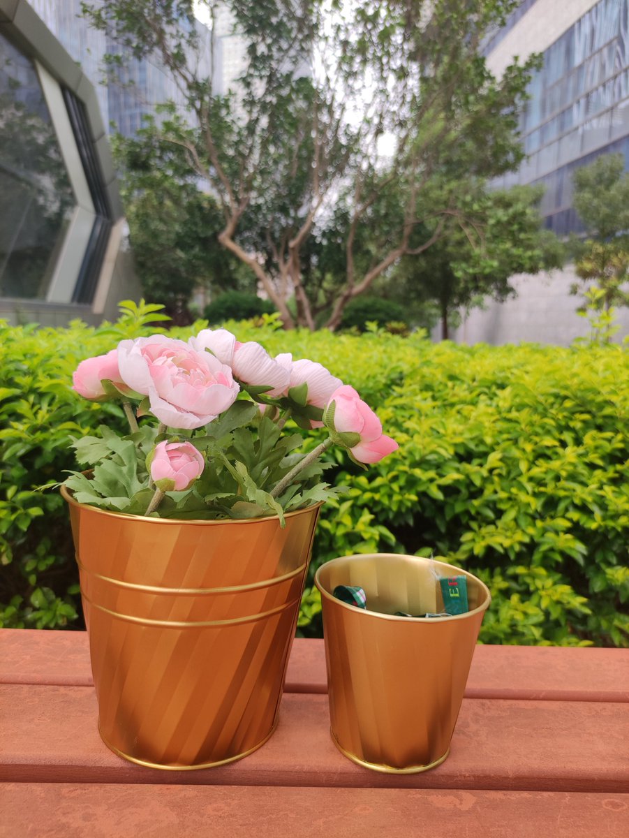 ColaLu520's tweet photo. ✨✨These planters versatile and durable
🎁🎁Add a unique touch to any outdoor space

👀👀Visit more：https://t.co/21kvcT7qSc
🙌🙌or contact Cola to get free samples：cola@cuuc-gardenplanters.com

#Pot #GalvanizedPot #MetalFlowerPot #FlowerPot #GardenPot #PlantPot #PlantPots https://t.co/IT5PZPwFnO