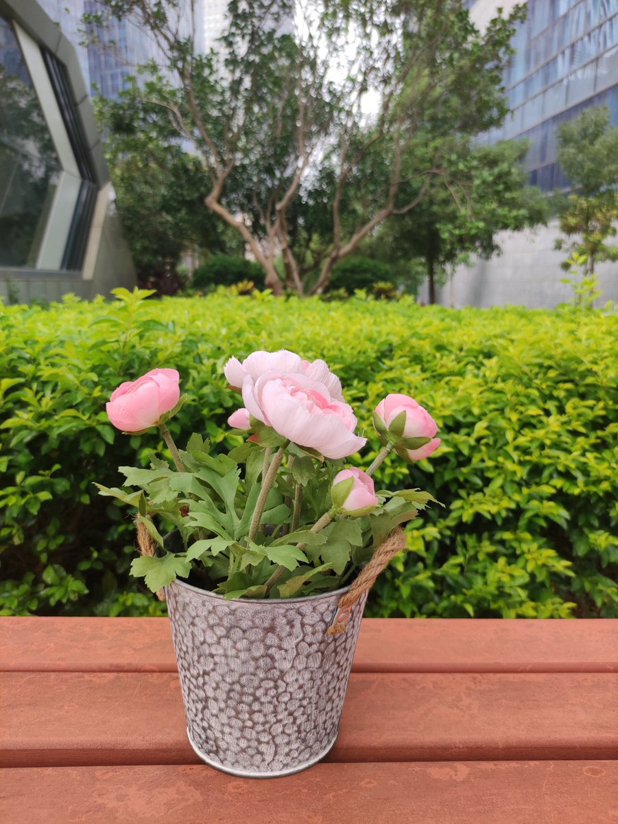 ColaLu520's tweet photo. ✨✨These planters versatile and durable
🎁🎁Add a unique touch to any outdoor space

👀👀Visit more：https://t.co/21kvcT7qSc
🙌🙌or contact Cola to get free samples：cola@cuuc-gardenplanters.com

#Pot #GalvanizedPot #MetalFlowerPot #FlowerPot #GardenPot #PlantPot #PlantPots https://t.co/88rwLlbL7f