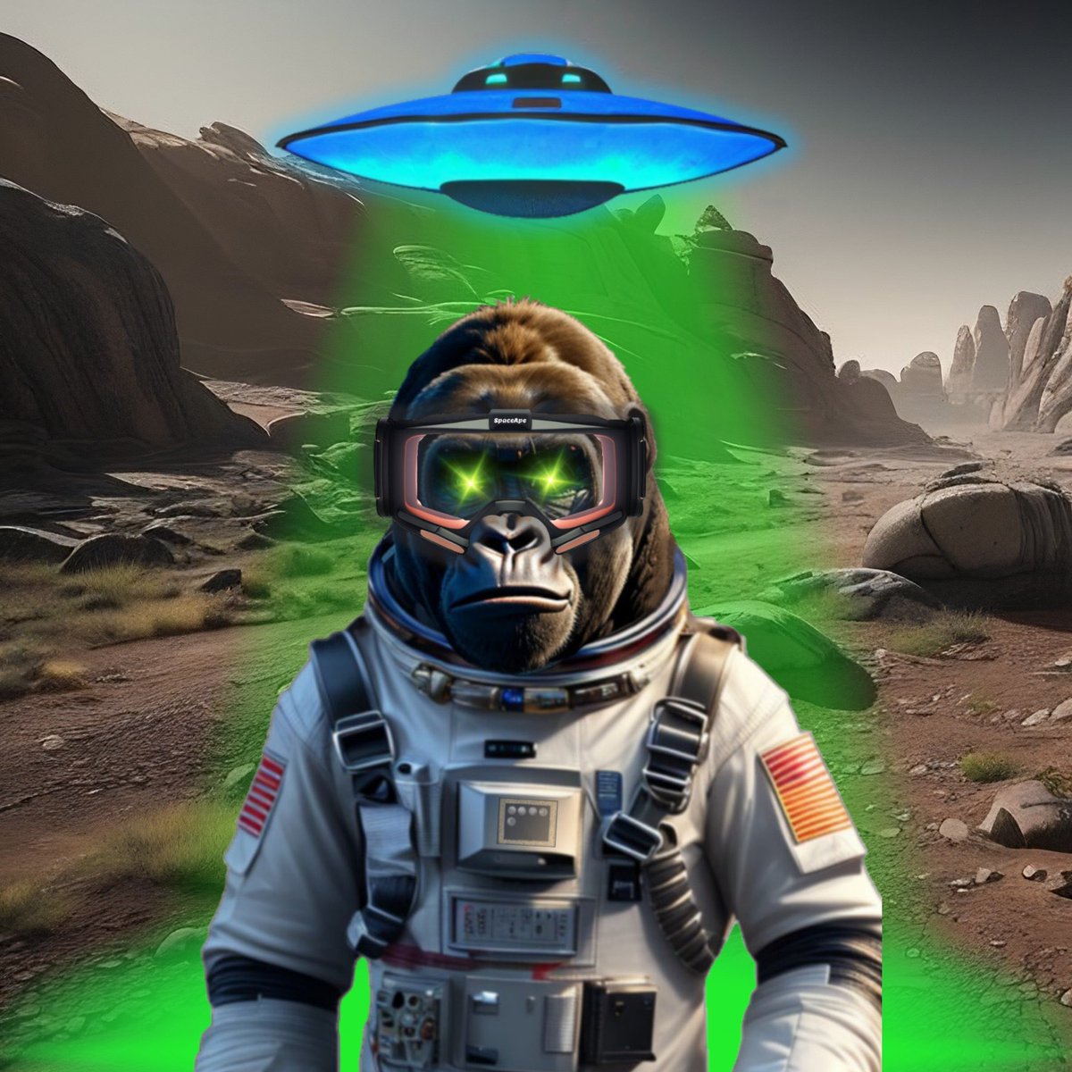 MWalkerWilliams's tweet image. GM ☕️

I bought 40,000,000 #SpaceApe is that enough? 🤞🏻

#HTS #Hedera #Hbar #HBARbarians