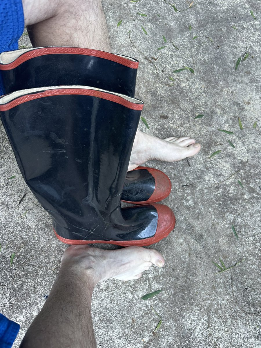 Aussie Wellie Boi tweet media