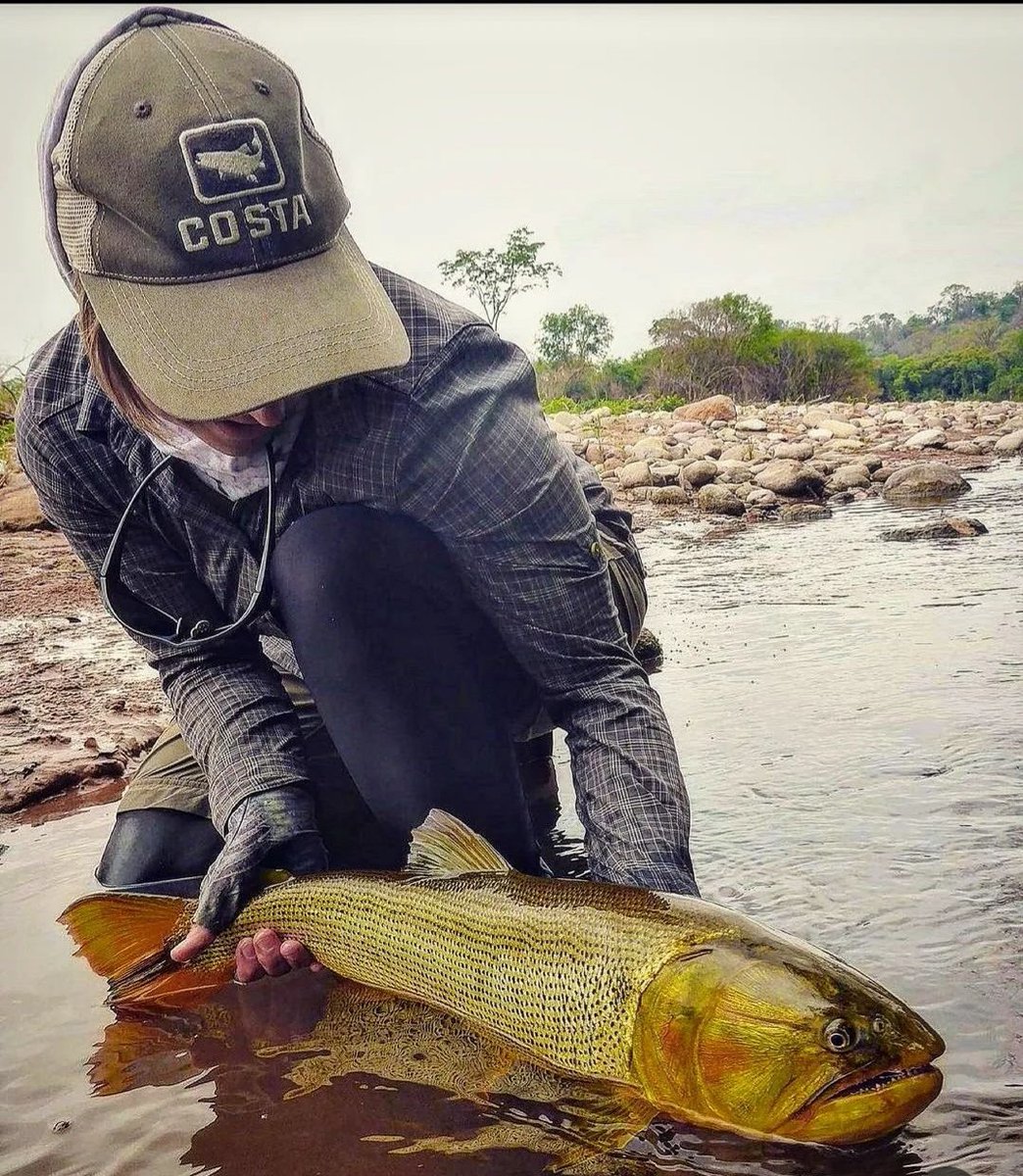 Fishy Thursday 🎣😁 #goldendorado #argentina