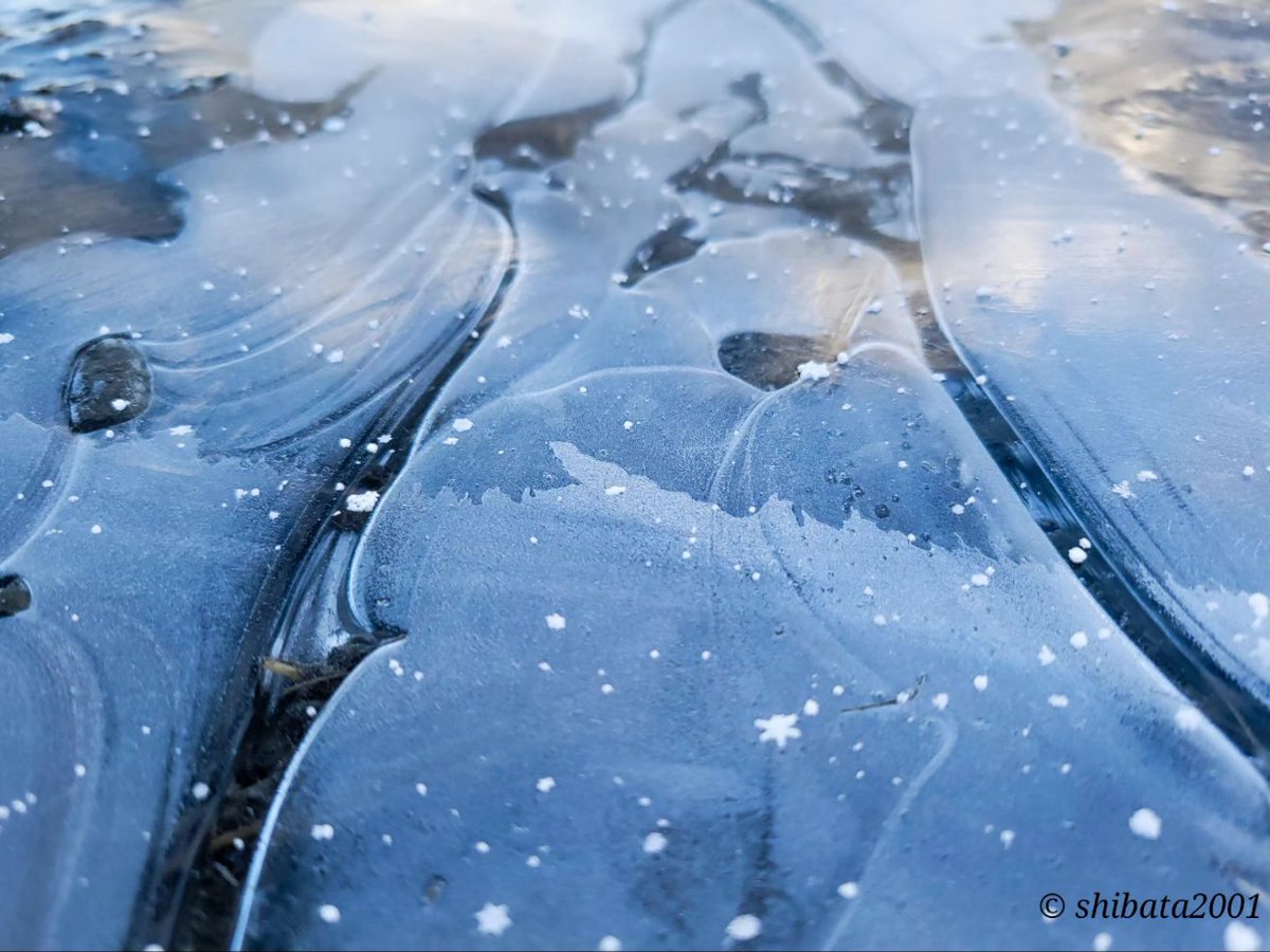 Ice World🧊❄️

#ファインダー越しの私の世界
#キリトリセカイ
#pixlib_jp
#japan_nature_photo
#nipponpic
#weekly_landscape_capture
#beautiful_photo_jpn
#mf_landscape
#total_nature_japan
#best_moments_nature
#best_of_nature