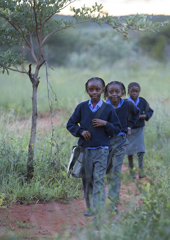 Sub-Saharan Africa faces the highest out-of-school rates globally. Over one-fifth of primary-aged children and nearly 60% of adolescents (15-17) aren't enrolled. Poverty, school fees, and regional conflicts all contribute.

📸 Okonjima, Namibia

#pideafoundation
