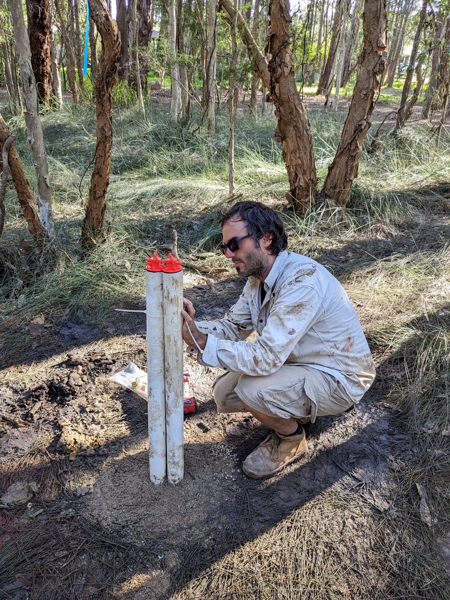 chrisowers_'s tweet photo. A couple of great days out in the field looking at #groundwater #supratidal interactions. @UON_research @CCoastCouncil @hydrogeoscience https://t.co/t6oP31JLzN