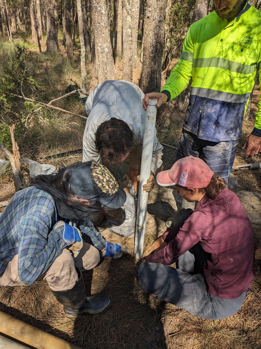 A couple of great days out in the field looking at #groundwater #supratidal interactions. @UON_research <a href="/CCoastCouncil/">CentralCoastCouncil</a> <a href="/hydrogeoscience/">Dr Gabriel Rau 🌏💧</a>