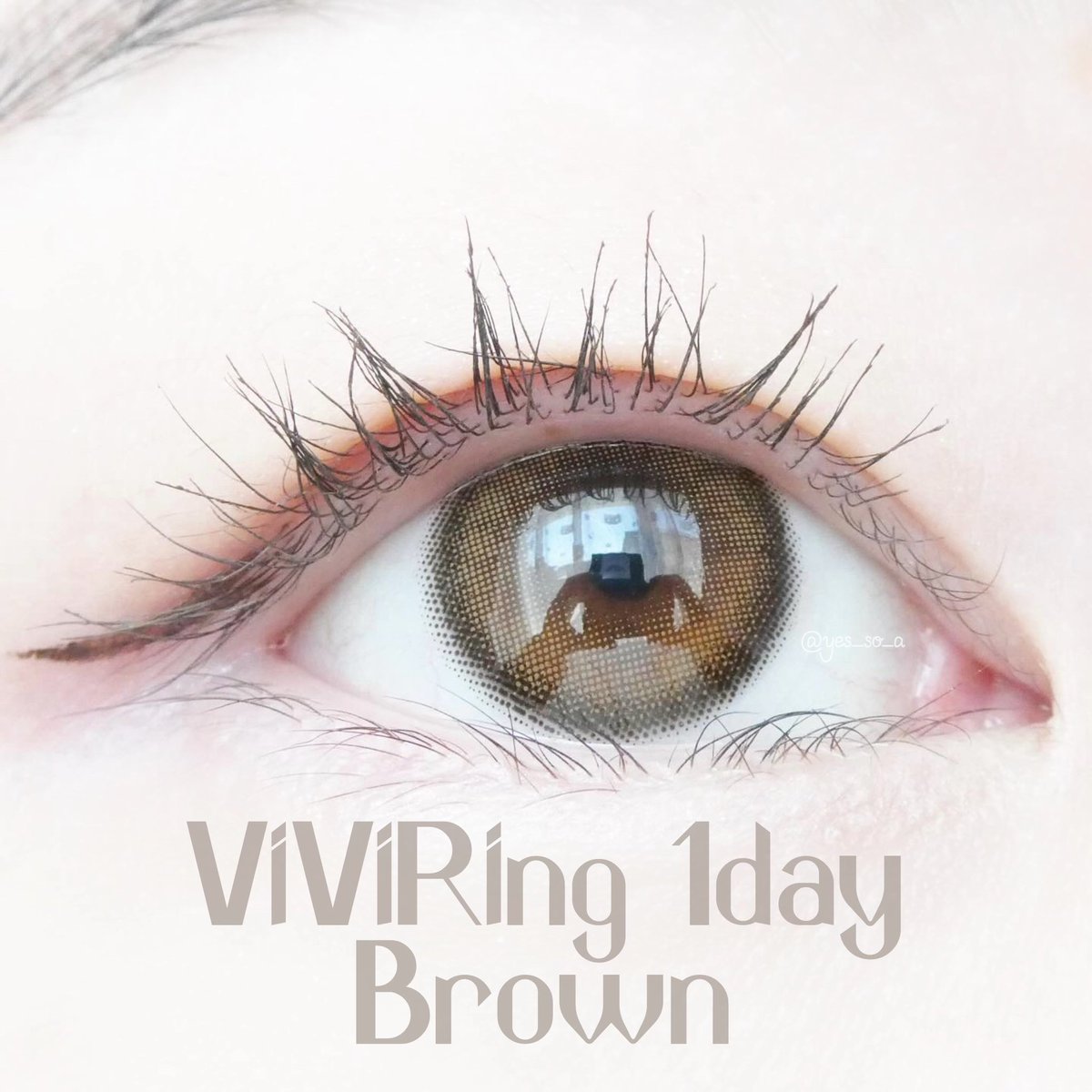 im_purumu's tweet photo. #カラコンレポ
#POPLENS @Pop_lens
#ViViRing 1day Brown
小さめの着色直径でナチュラルに毎日使いしやすいブラウンカラコン
フチありでちゅるんと透明感のある瞳にしてくれます♡♡
これ一つ持っていたいカラコンです♡
#カラコン #一重カラコン #奥二重カラコン #韓国カラコン https://t.co/9IBkRBSvg0