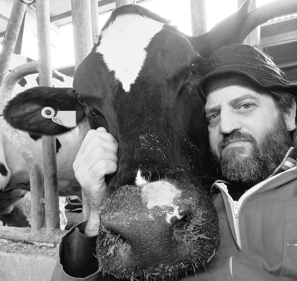 #blackandwhitephoto 😎🐄