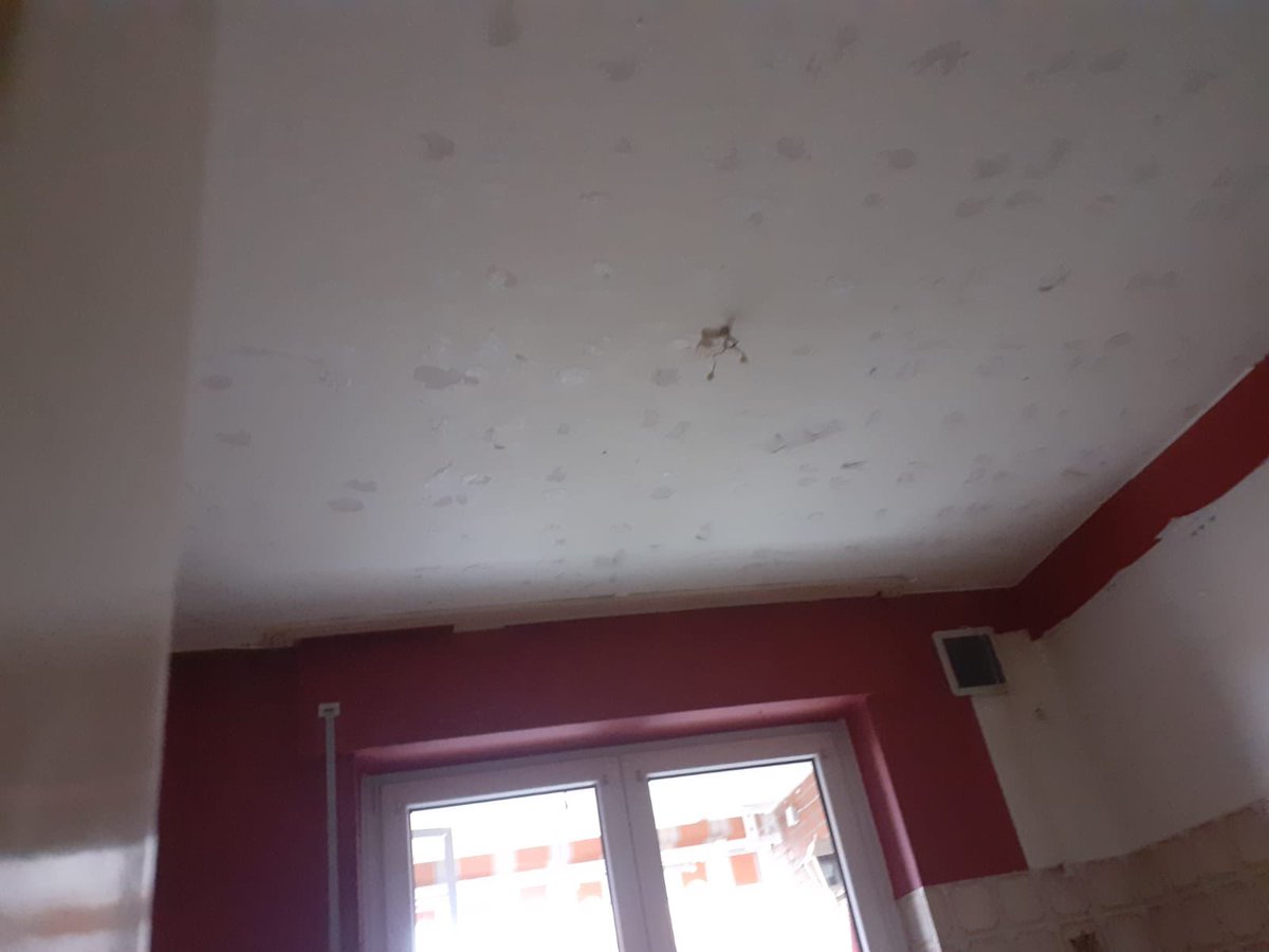 MNAllround's tweet photo. 👋 Heute bei M.Nischk Allround Worker: Wir tauchen in die Welt der Mietwohnungen ein und zeigen euch, wie wir Styropordecken entfernen, um eine Wohnung übergabebereit zu machen! 🏠

Mit Präzision und Sorgfalt entfernen wir jede Platte – eine saubere und glatte Decke ist das Ziel! https://t.co/QYCrXCUsRg
