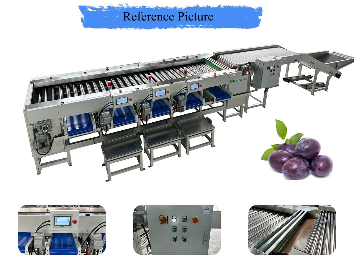 FruitprocessI's tweet photo. 🔥🔥🔥Plum sorting packing machine has been loaded on the truck🚛🚛🇲🇰

🔸Hopper&amp;inspection table
🔸Adjustable roller sorter
🔸Manual filling and weighing system

Get Price service@fruitprocess.com
Learn more httpsfruitprocess.comen-usroller-graderplums-and-apricot-grader https://t.co/B8k2YpV3sI