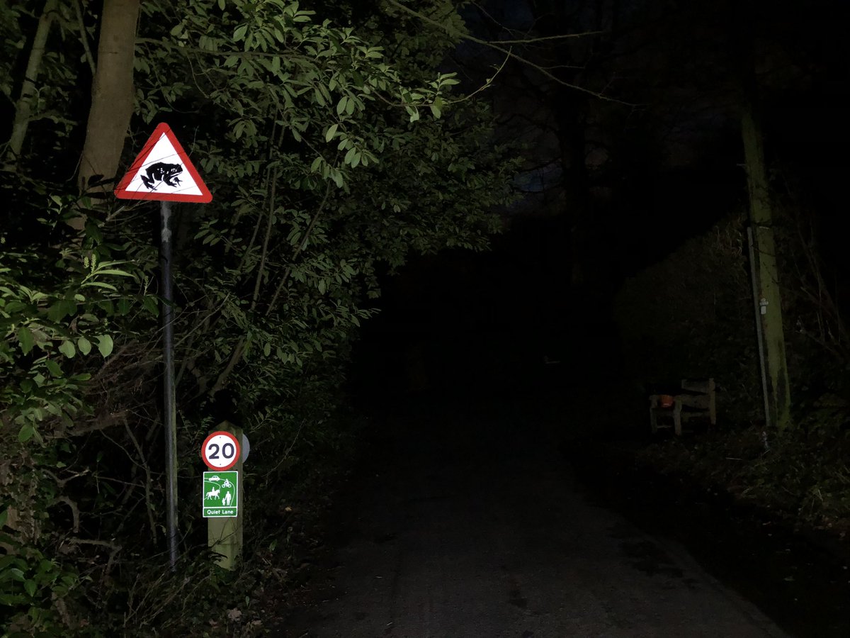 Toad Rescue tweet media