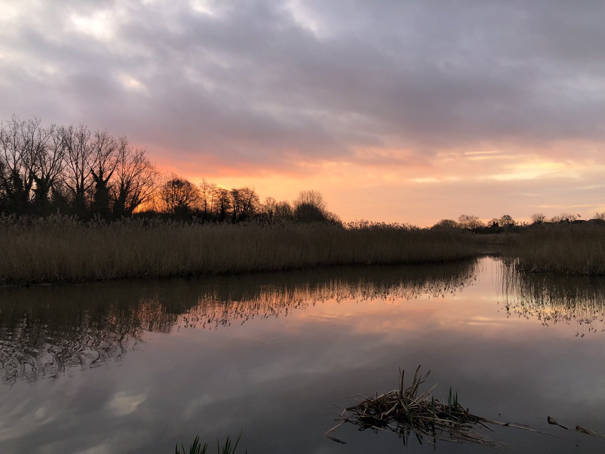 mdrakes1's tweet photo. Glorious start to the morning with a 🏃♂️ in the @IngrebourneEWT. @WeAreERC @TeachersRunClub @UKRunChat @runningpunks 14/31 runs for #REDMarch completed with 96km banked. https://t.co/o7gY45mEpc