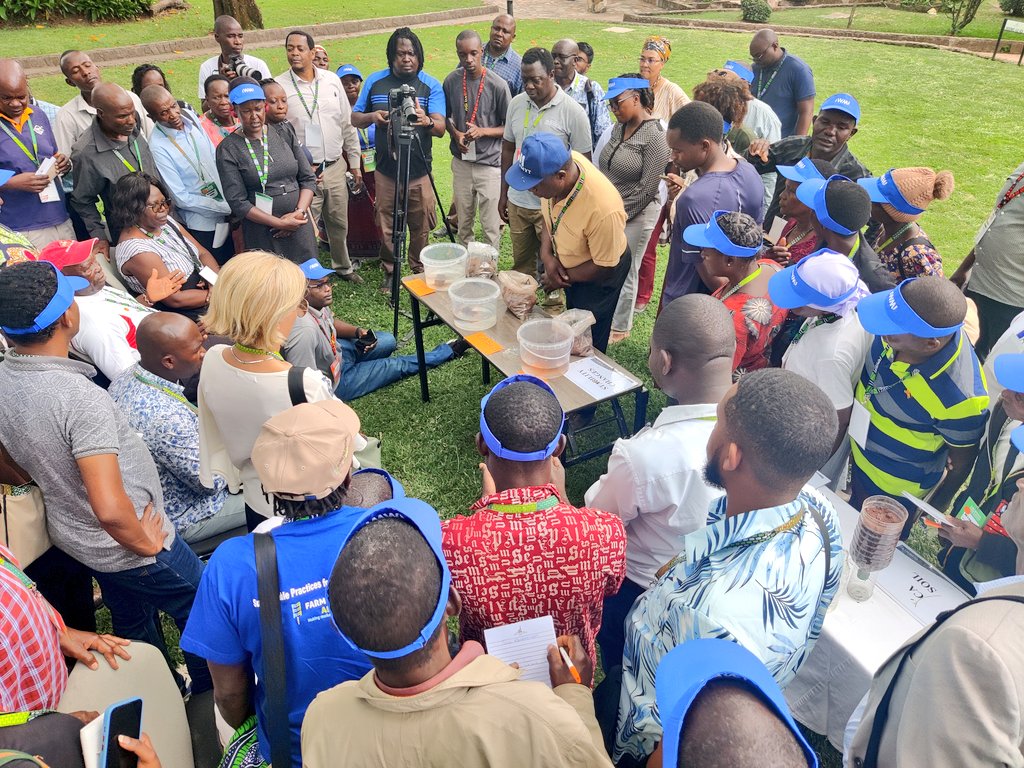 BusyBeeChris's tweet photo. @isaiah_nyagumbo is sharing the aggregate test comparing @ConservationAg systems with tillage practices at our farmer #sharefair. This shows the strength in aggregate stability when a soil is not tilled. @BMhlanga4 @CIMMYT @IWMI_ @Inga_JM @ACTillage @Sieg_SAS #UUInitiative https://t.co/1Luzvy7KoM