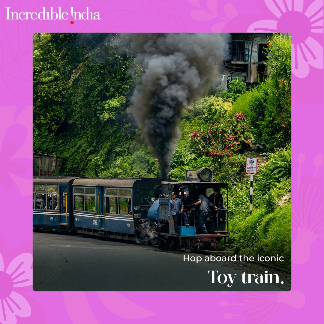 incredibleindia's tweet photo. #Spring has sprung in #Darjeeling! 🌸Time to bask in the gentle warmth, breathe in the fragrant air, and revel in colours of nature. Which springtime activity gets you buzzing the most?

Click the link to explore https://t.co/kaKZaDYu2q